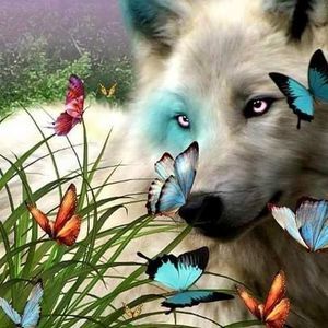 Meet your Posher, Shelly